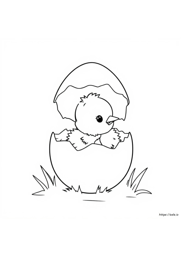 Chick In Egg Coloring Pages