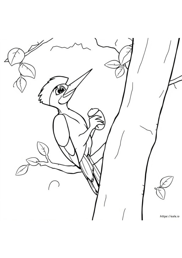 Woody Woodpecker Ausmalbilder Zum Ausdrucken