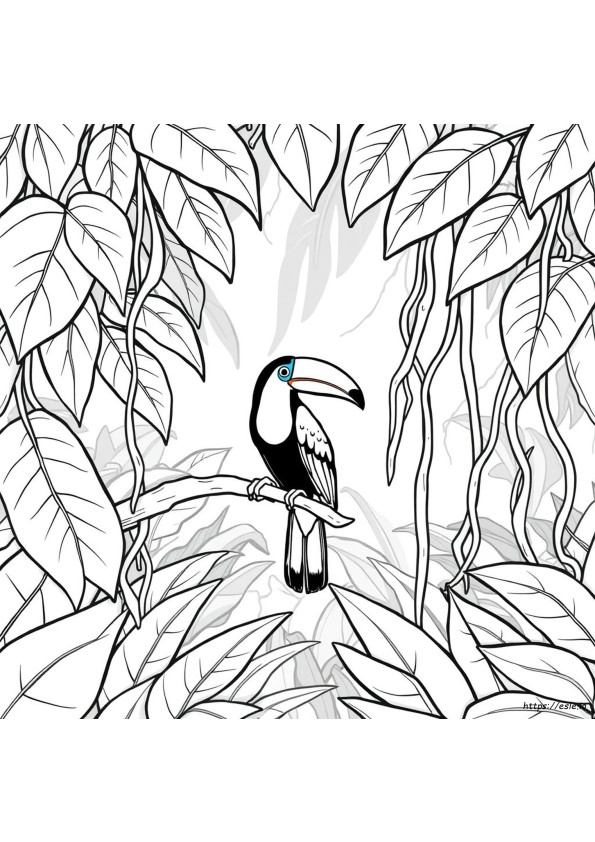 Tucano Para Colorir