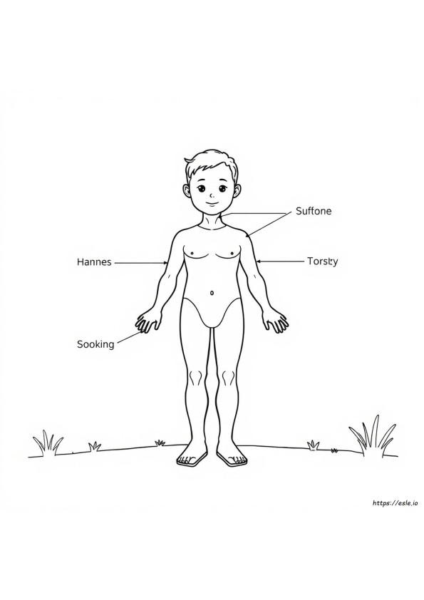 Body Parts Coloring Worksheet