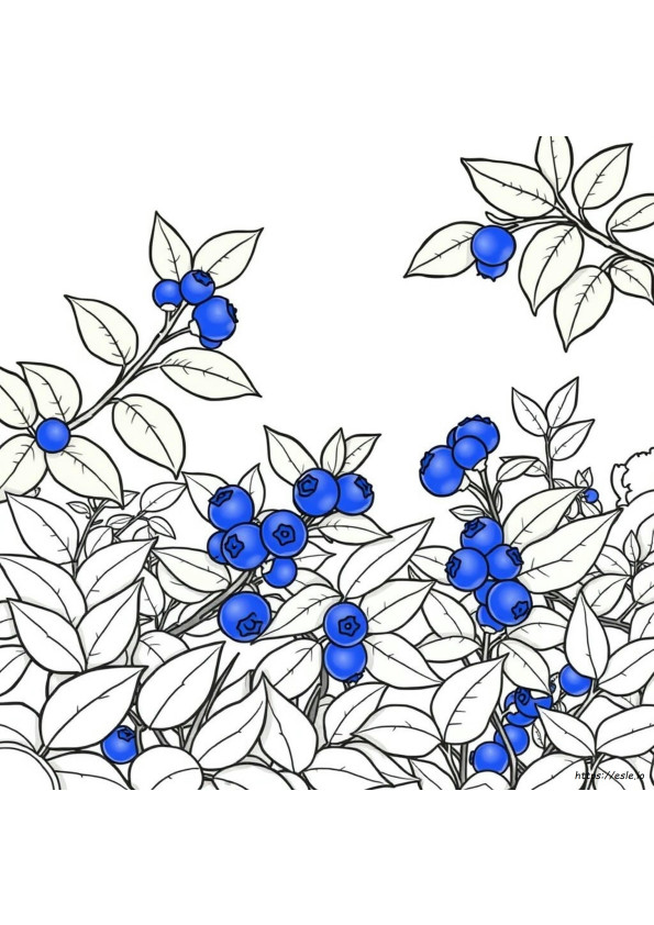 Colorant Alimentaire Bleu Naturel