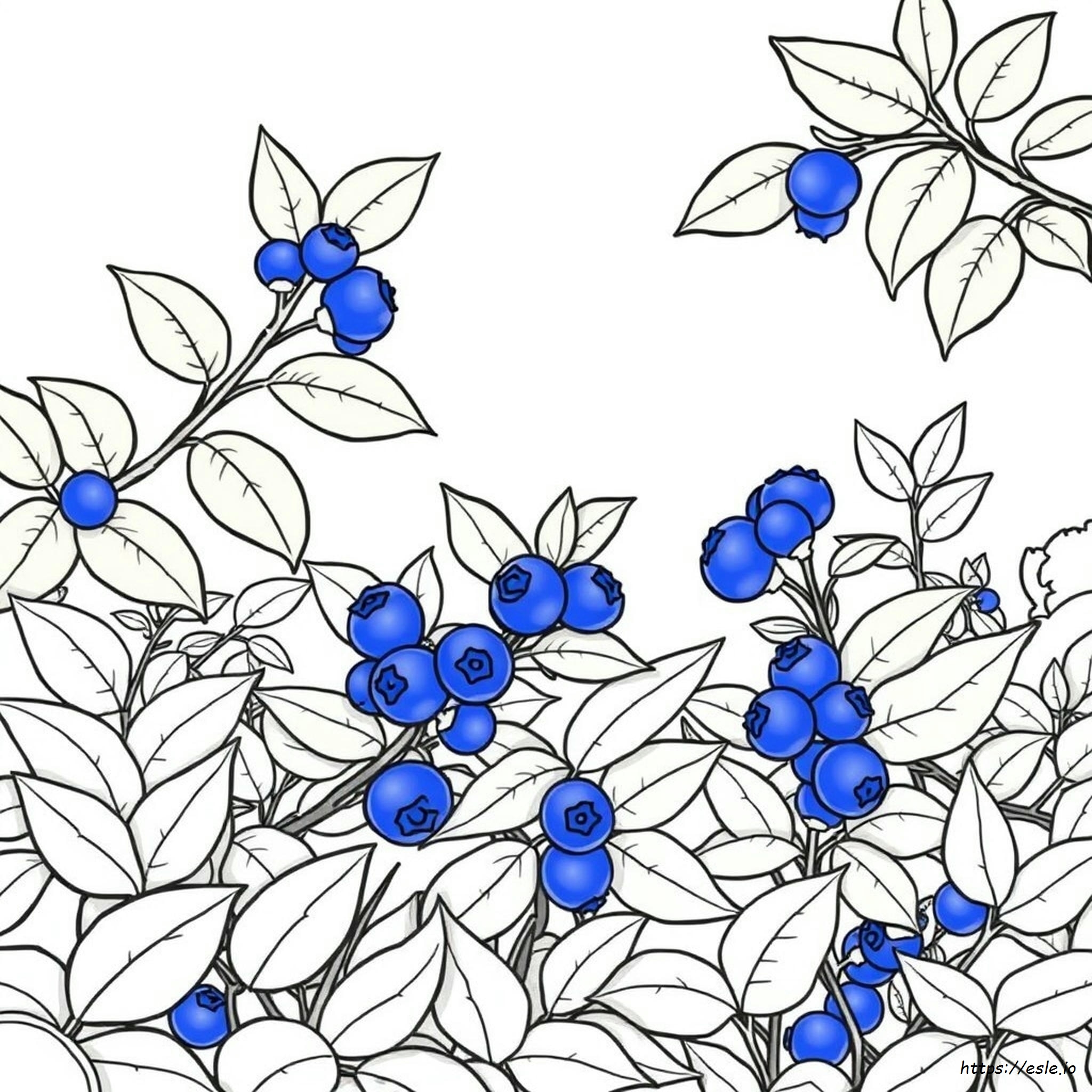 Colorante Alimentario Azul Natural
