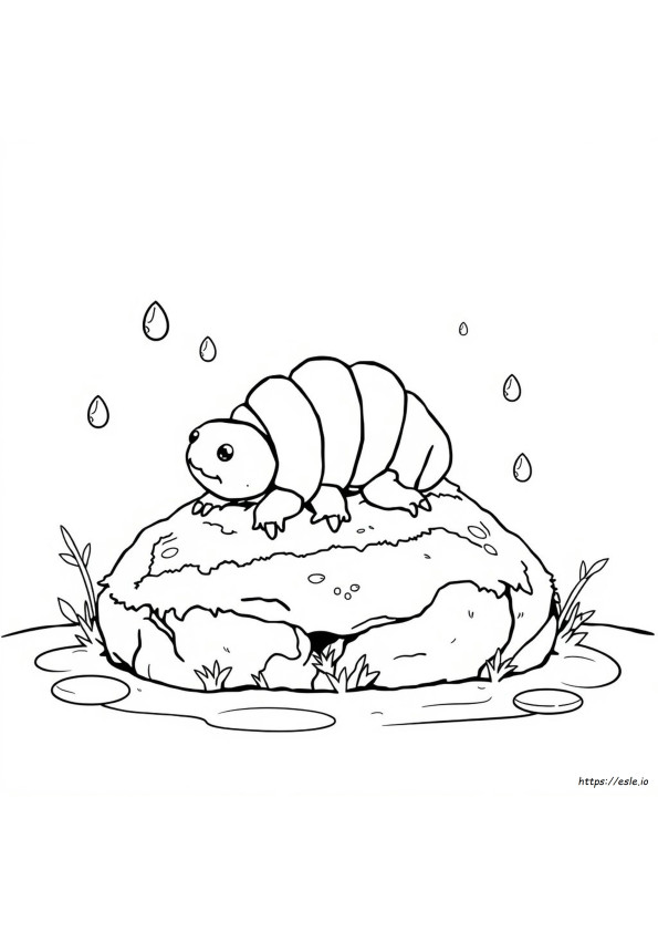Bärtierchen Ausmalbilder