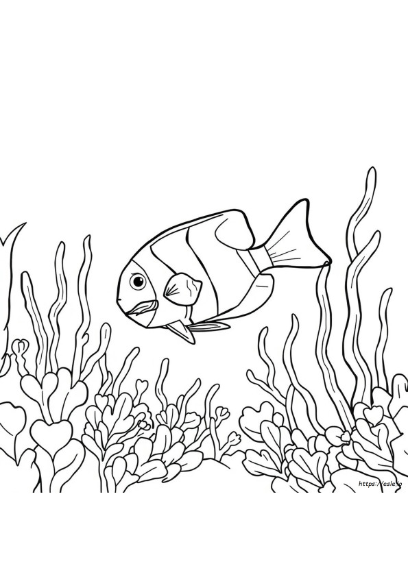 Butterfly Fish Coloring Page