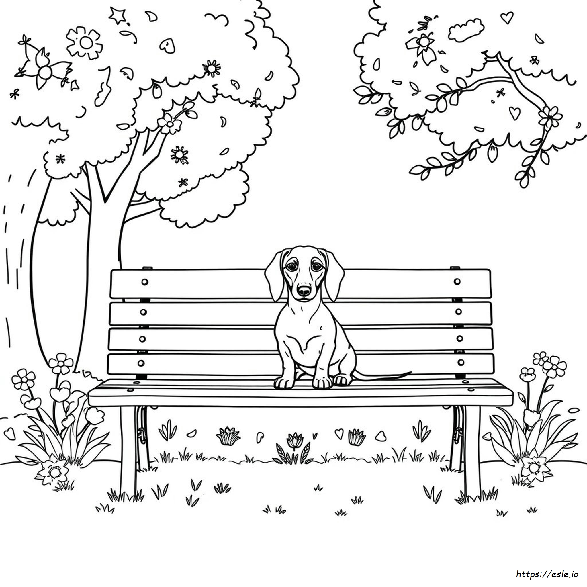 Dachshund Colouring Pages