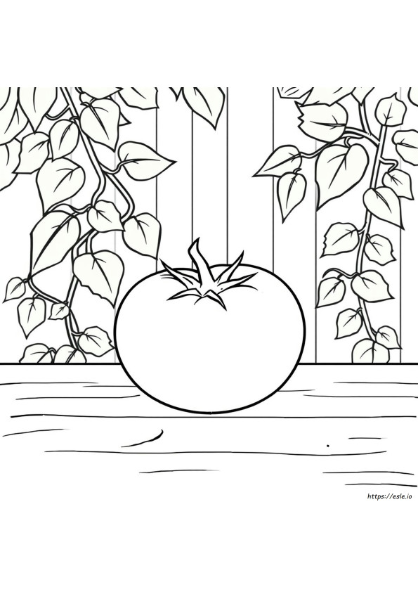 Tomaten Ausmalbilder