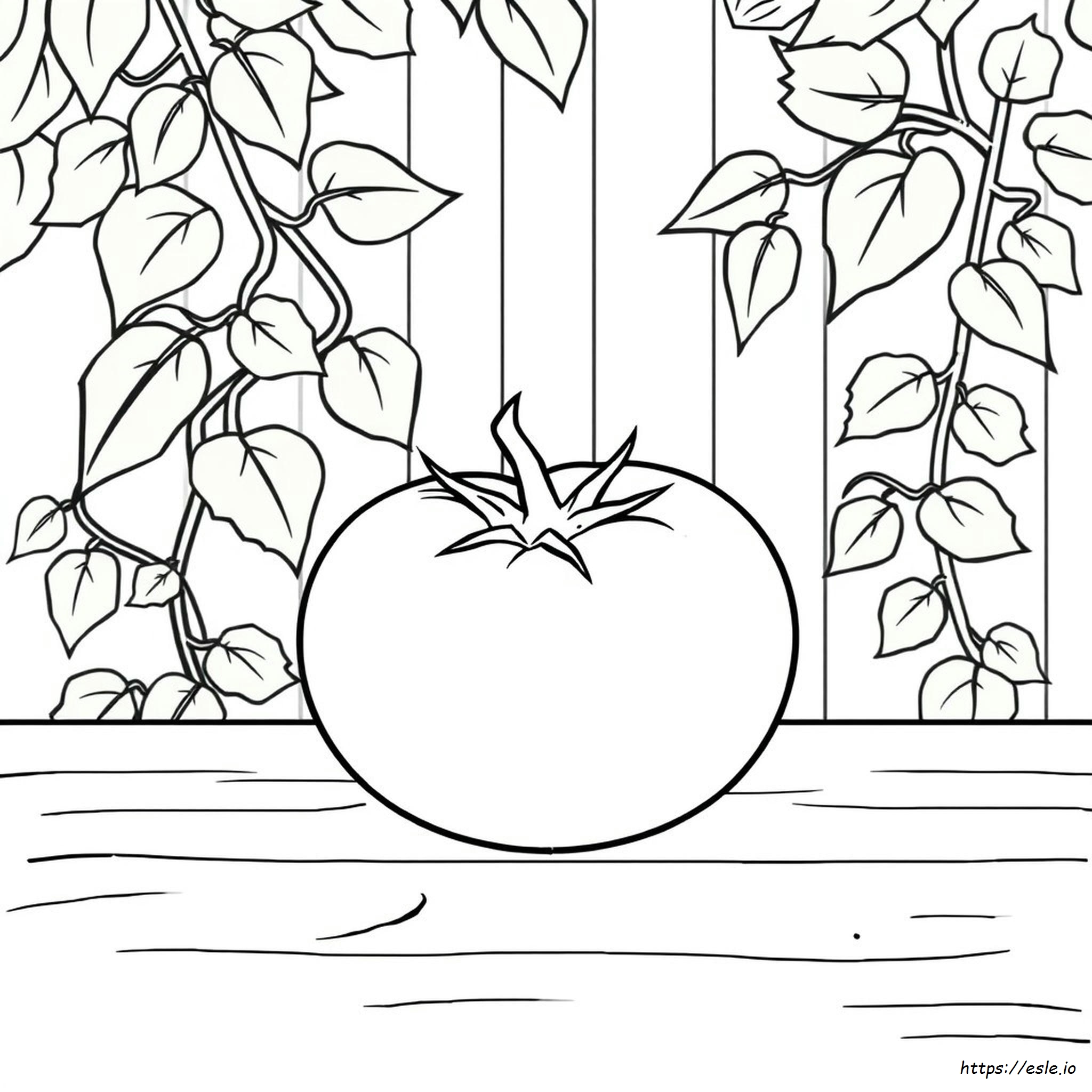 Tomato Picture For Colouring