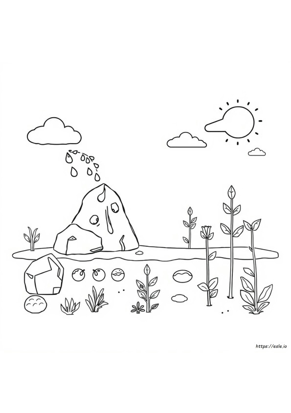 Phosphorus Cycle Coloring Sheet