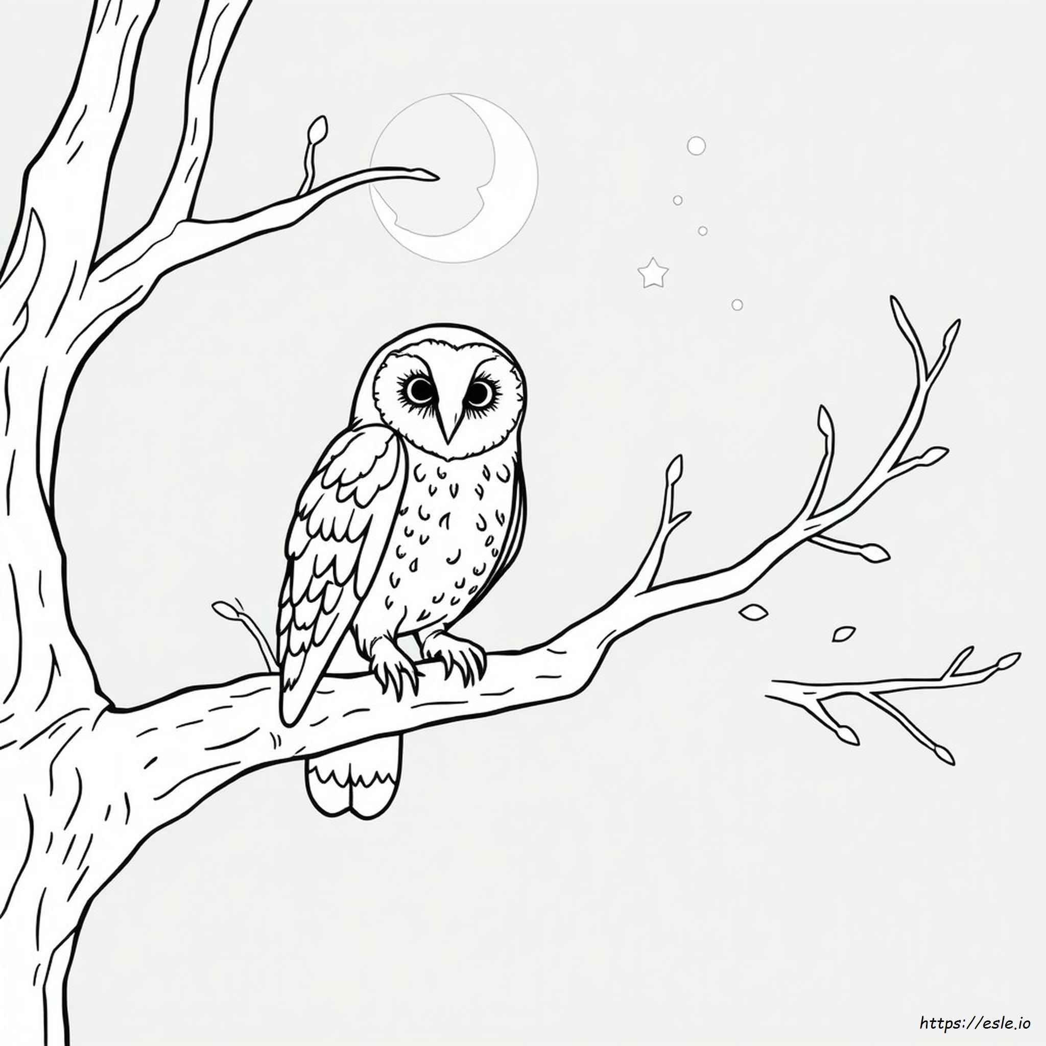Coloring Pages Of Barn Owls