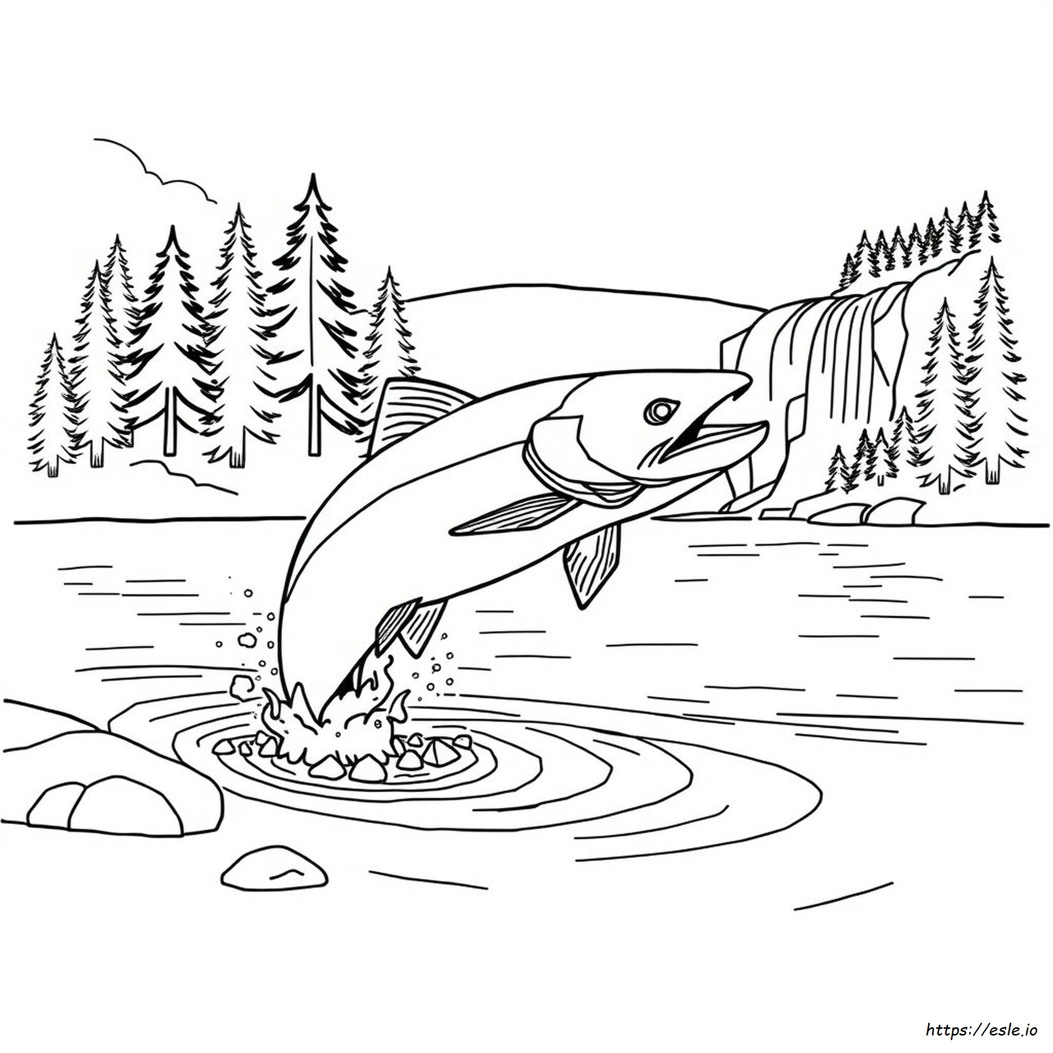 King Salmon Coloring Page