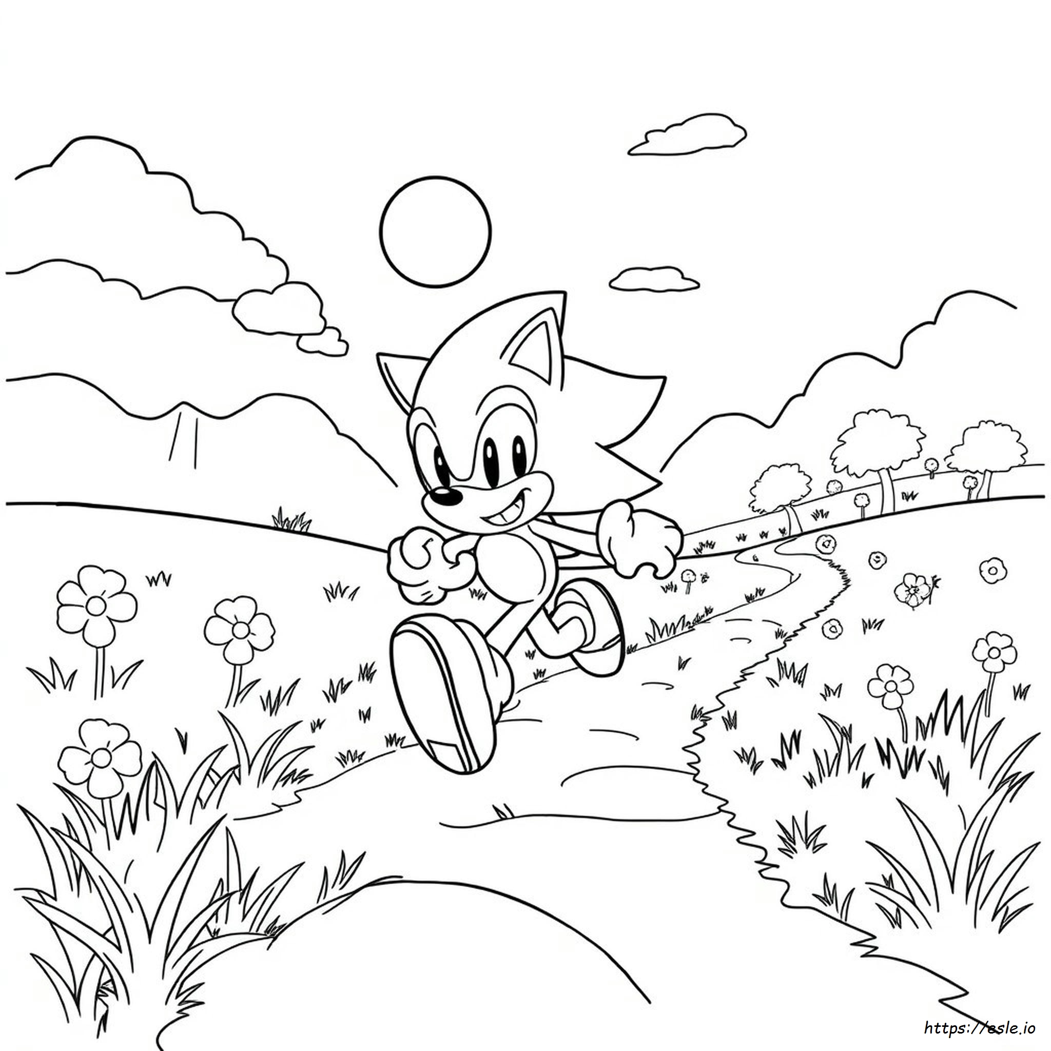 Páginas Para Colorear De Sonic Brillante