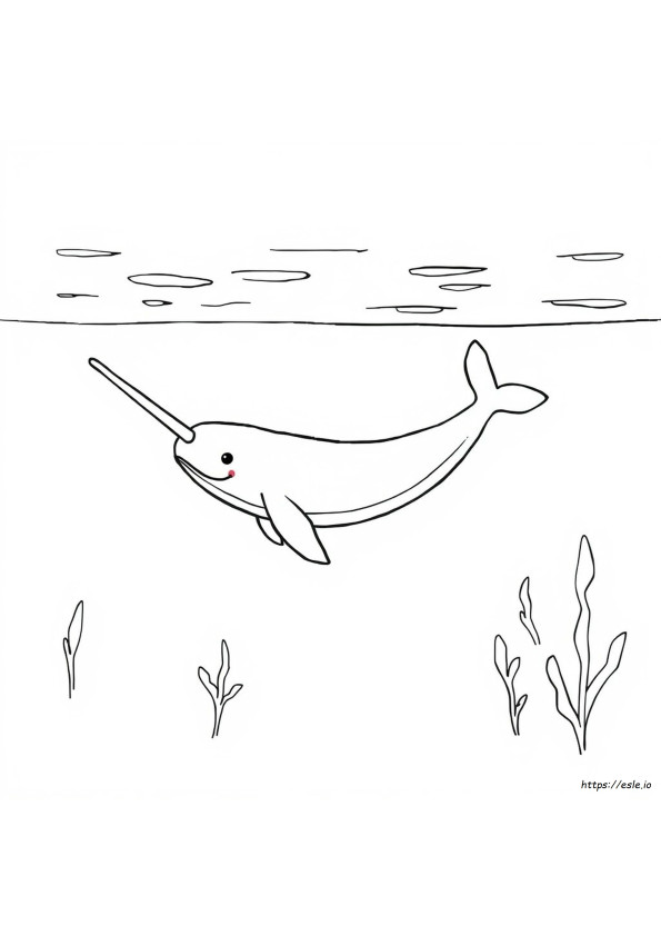 Narwhal Coloring Sheet