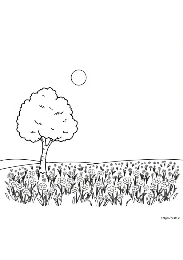 Comment Corriger Le Jaune Au Coloriage