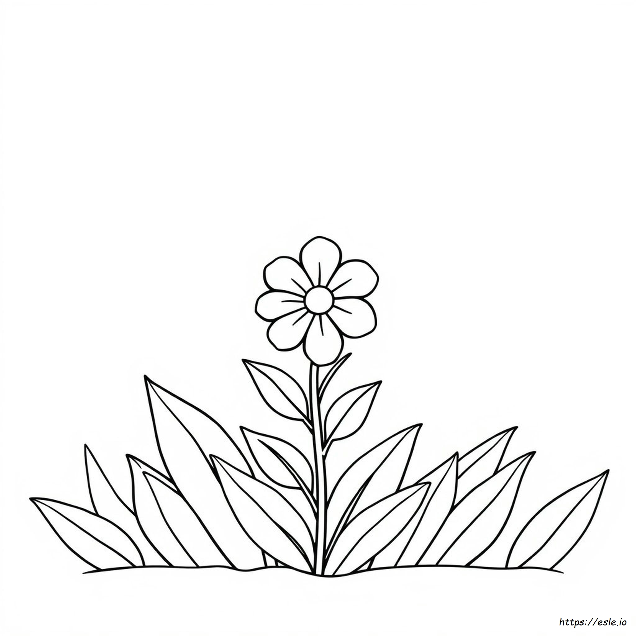 Fiore Con La F Da Colorare