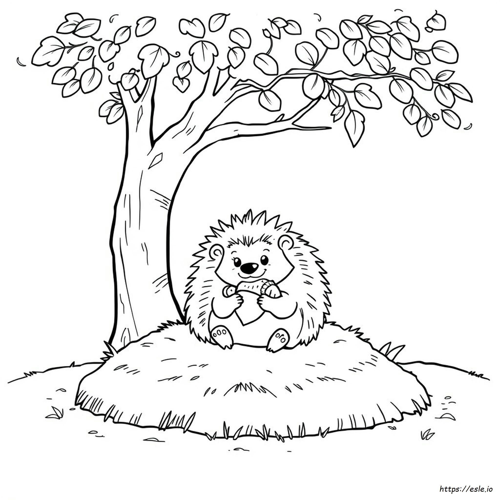 Hedgehog Colouring Pages Printable