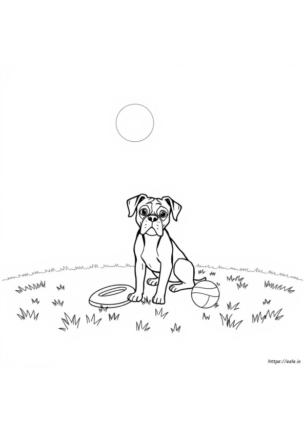 Boxer Dog Colouring Pages