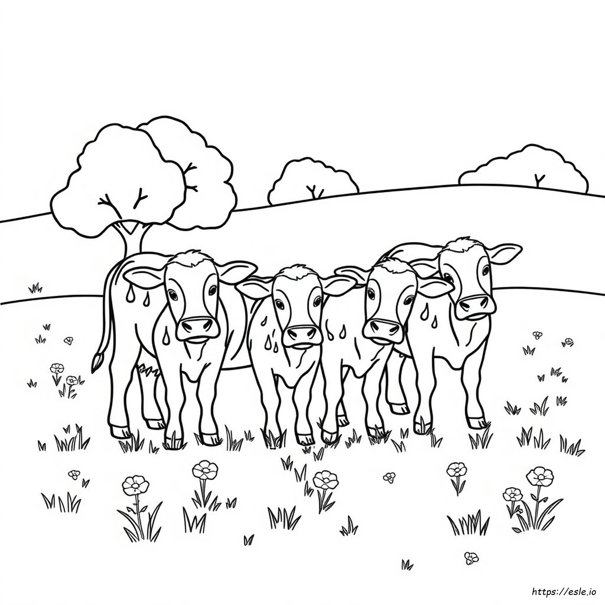 Coloring Pages Of Cows