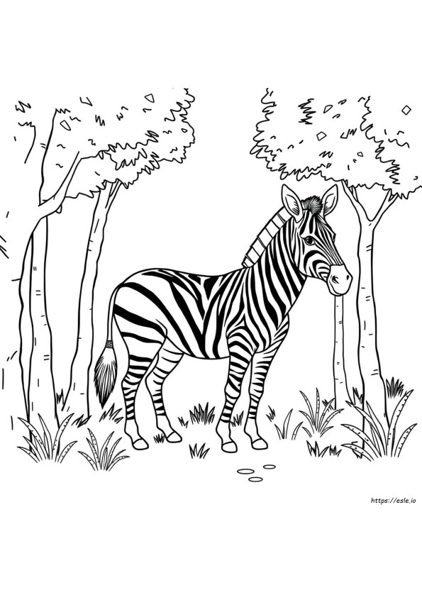 Animal Camouflage Coloring Pages Printable