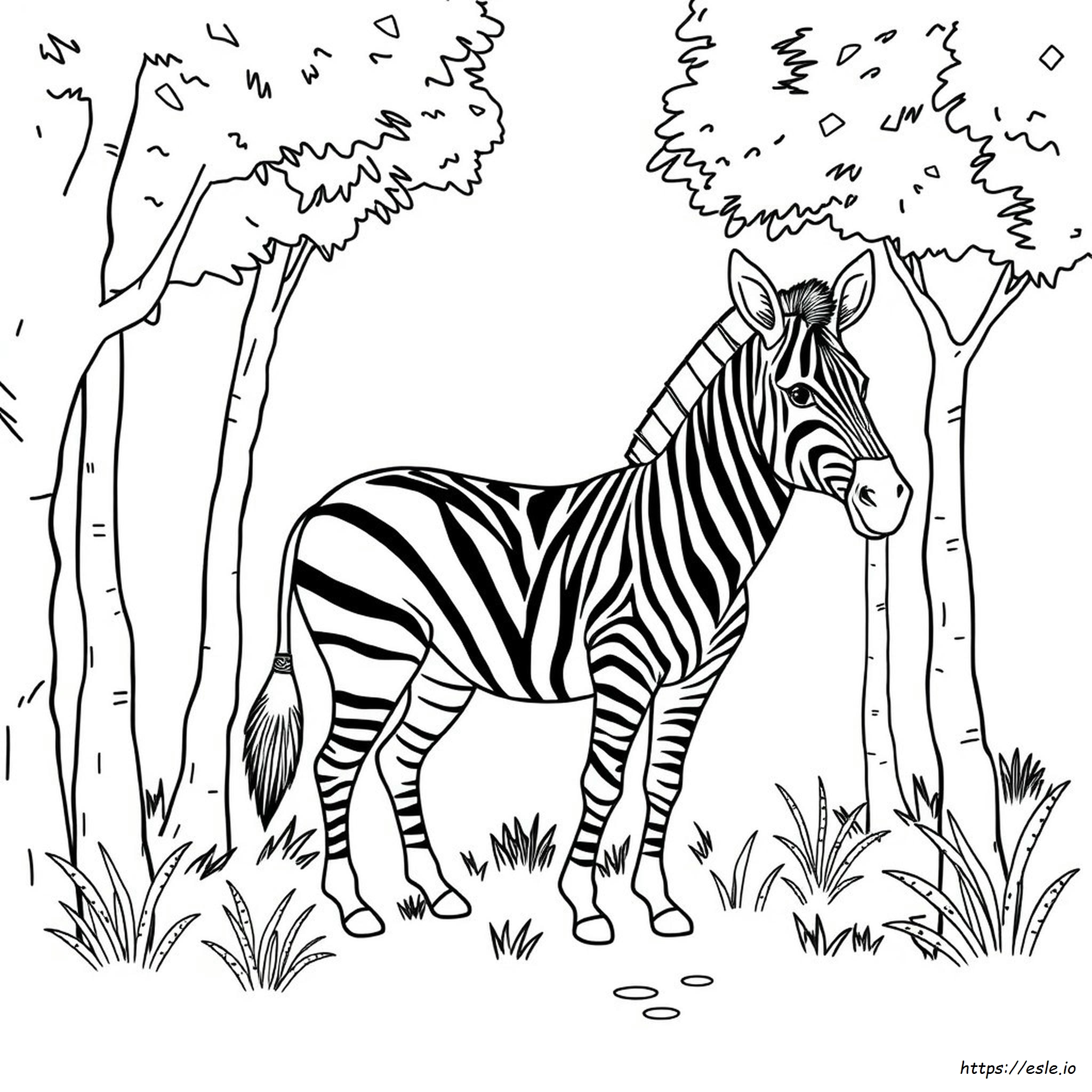 Dibujos De Camuflaje Animal Para Colorear E Imprimir