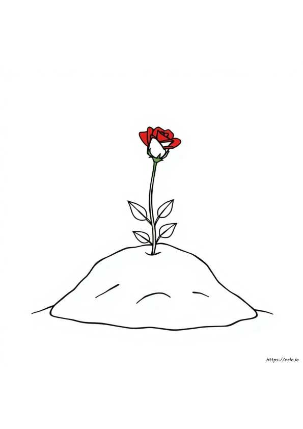 Small Rose Coloring Pages