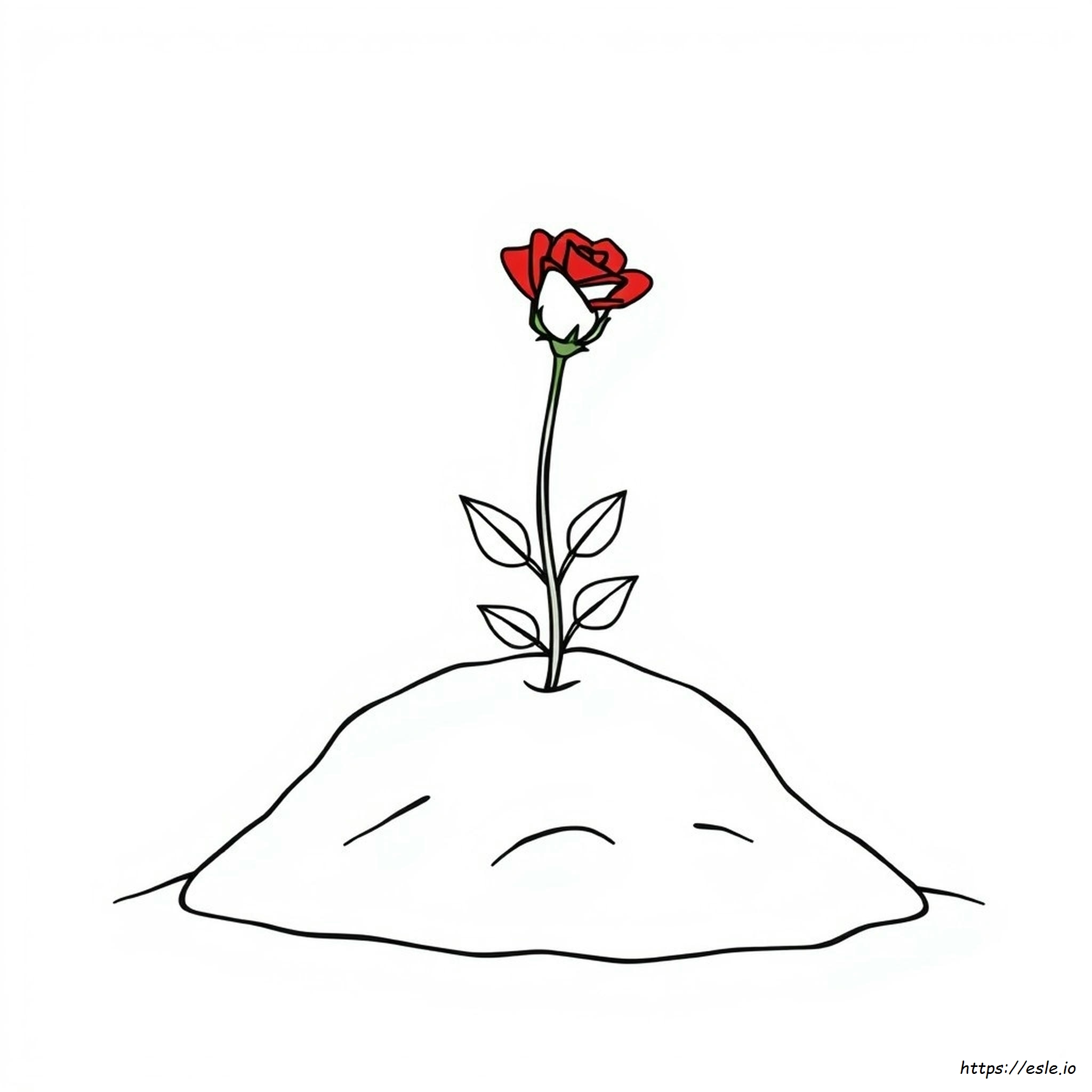 Pequeñas Rosas Para Colorear
