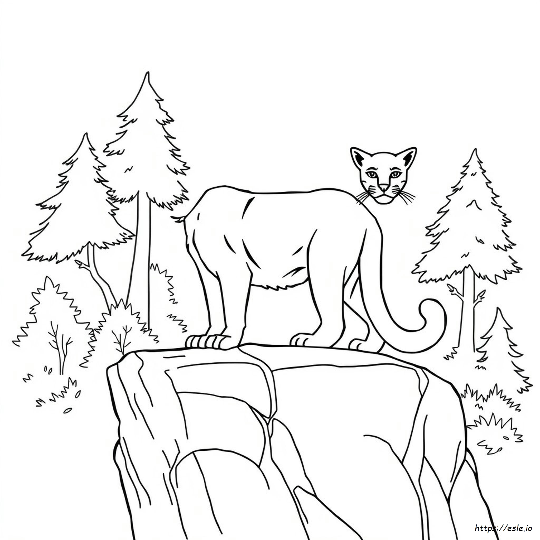 Cougar Colouring Pages