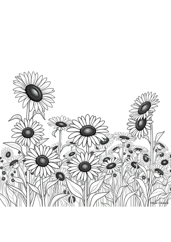Daisy Honest And Fair Coloring Pages