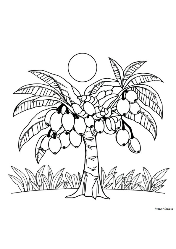 Frutas Tropicais Para Colorir
