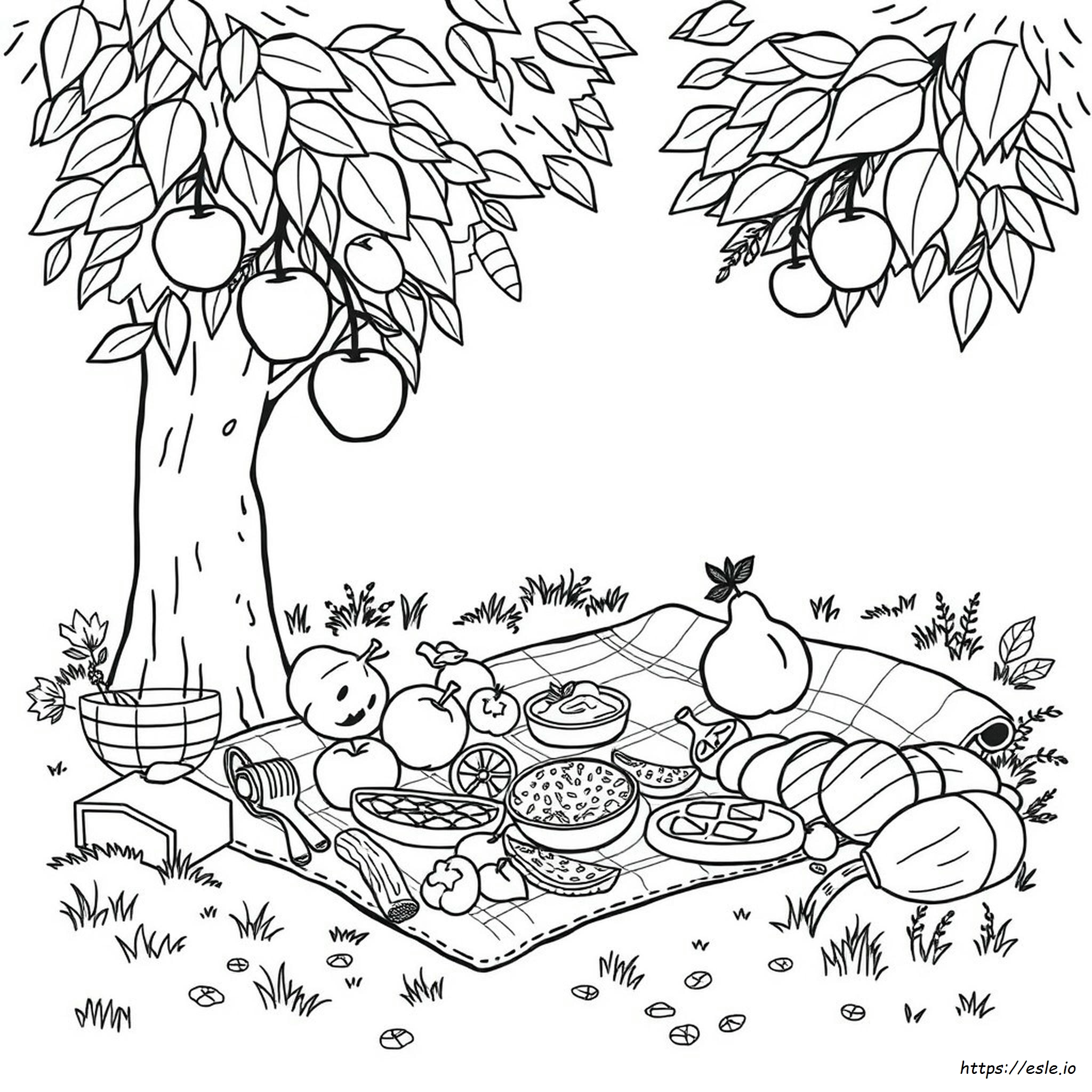 Imágenes De Frutas Para Colorear