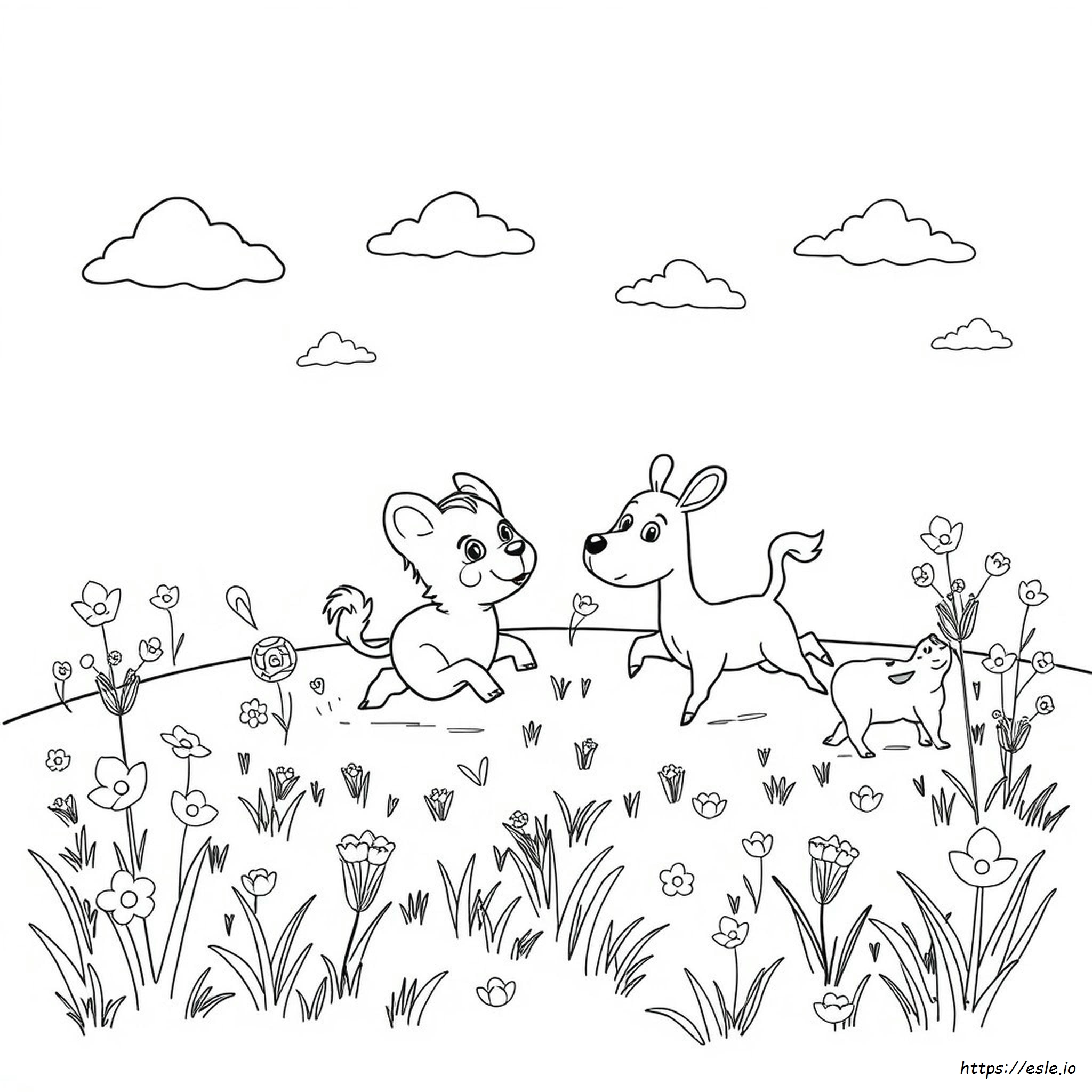 Crazy Animal Coloring Pages
