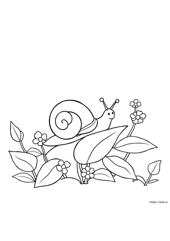 Coloriages Escargot