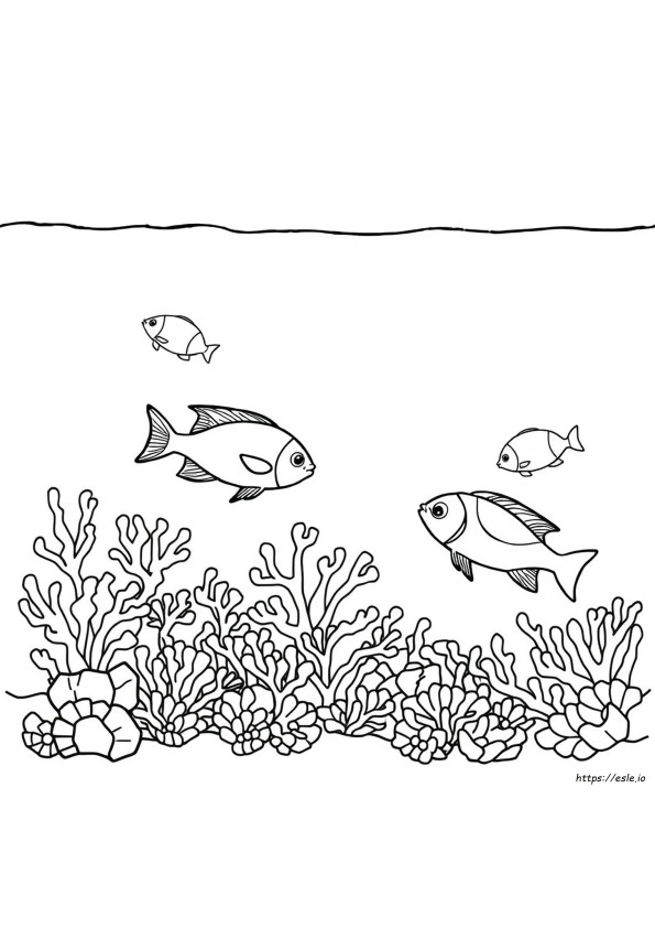 Coloriages Fruits De Mer