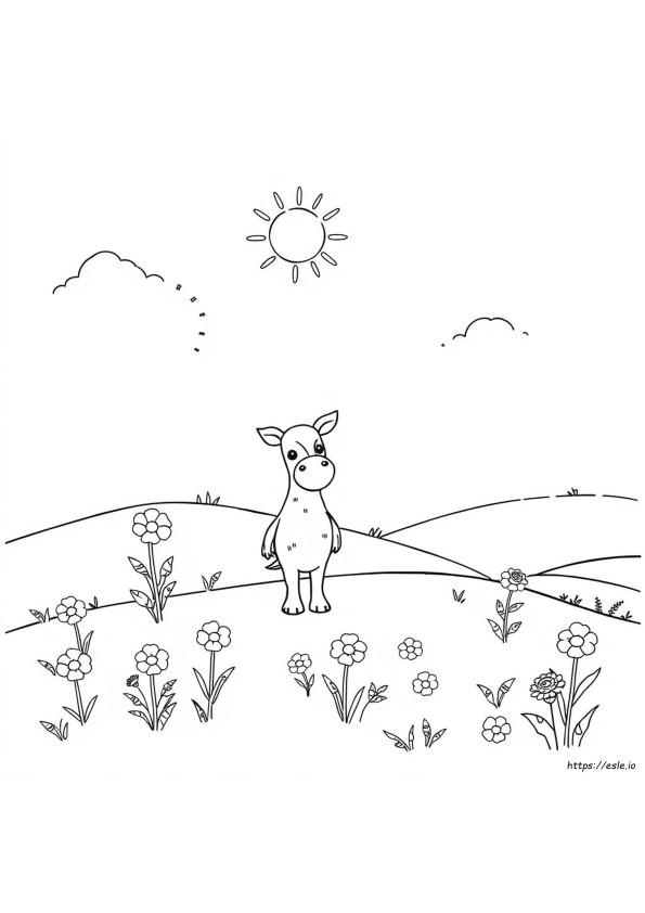 Cocrico Colouring Page