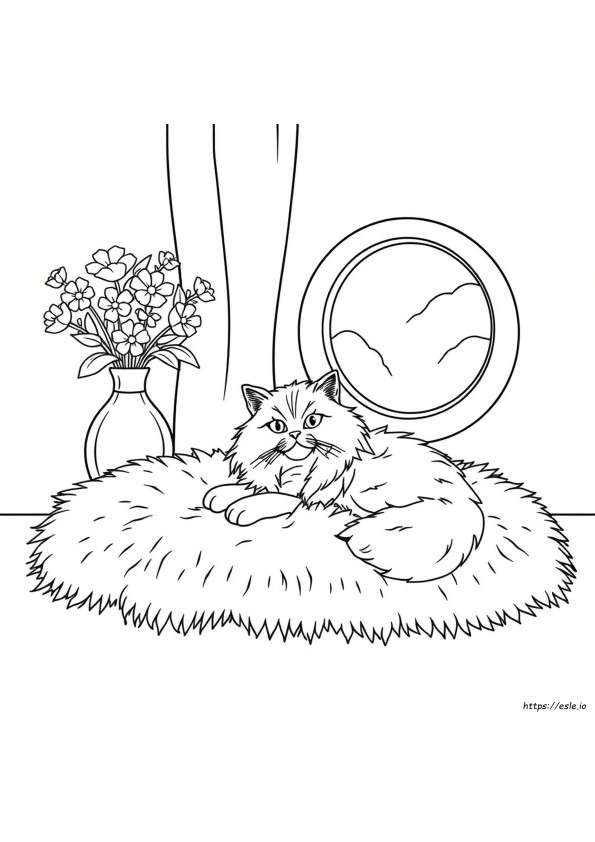 Persian Cat Coloring Pages