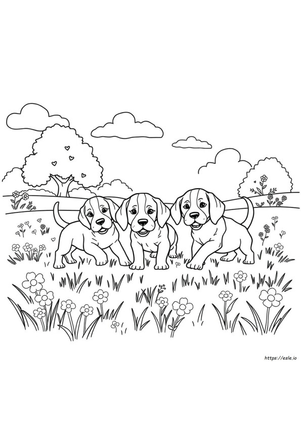 Coloring Pages Of Beagle Puppies