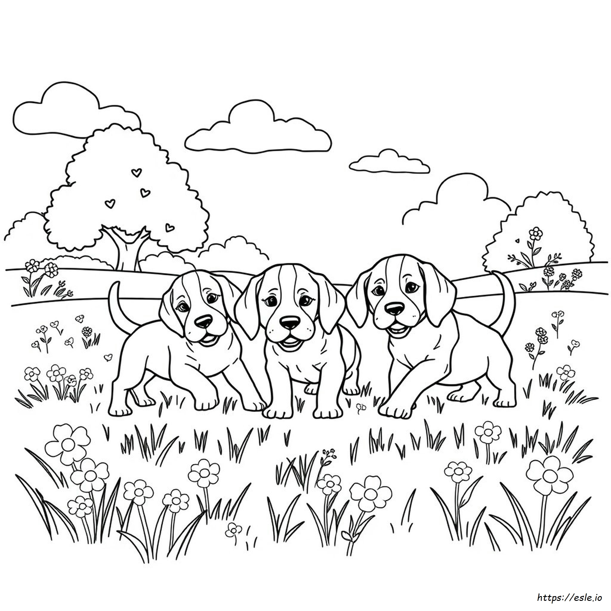 Coloring Pages Of Beagle Puppies
