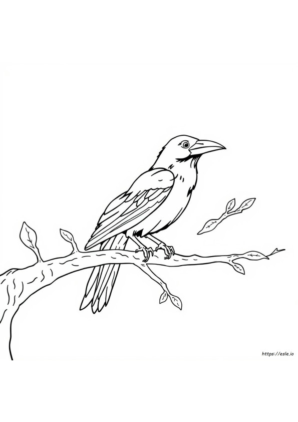 Black Crow Coloring Page