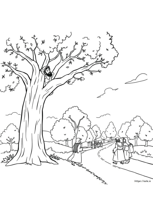 Zacheus Coloring Page