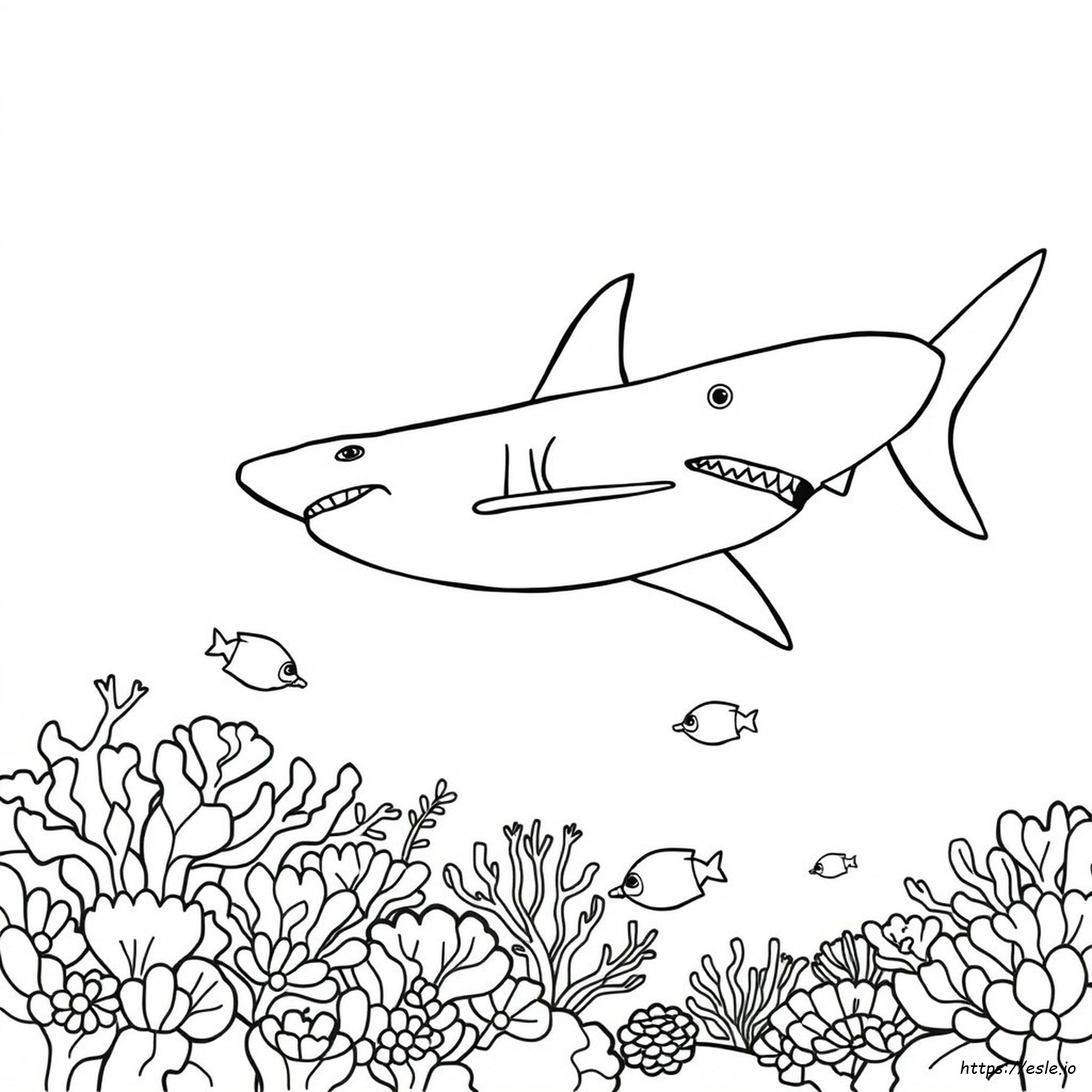 Great White Shark Colouring In