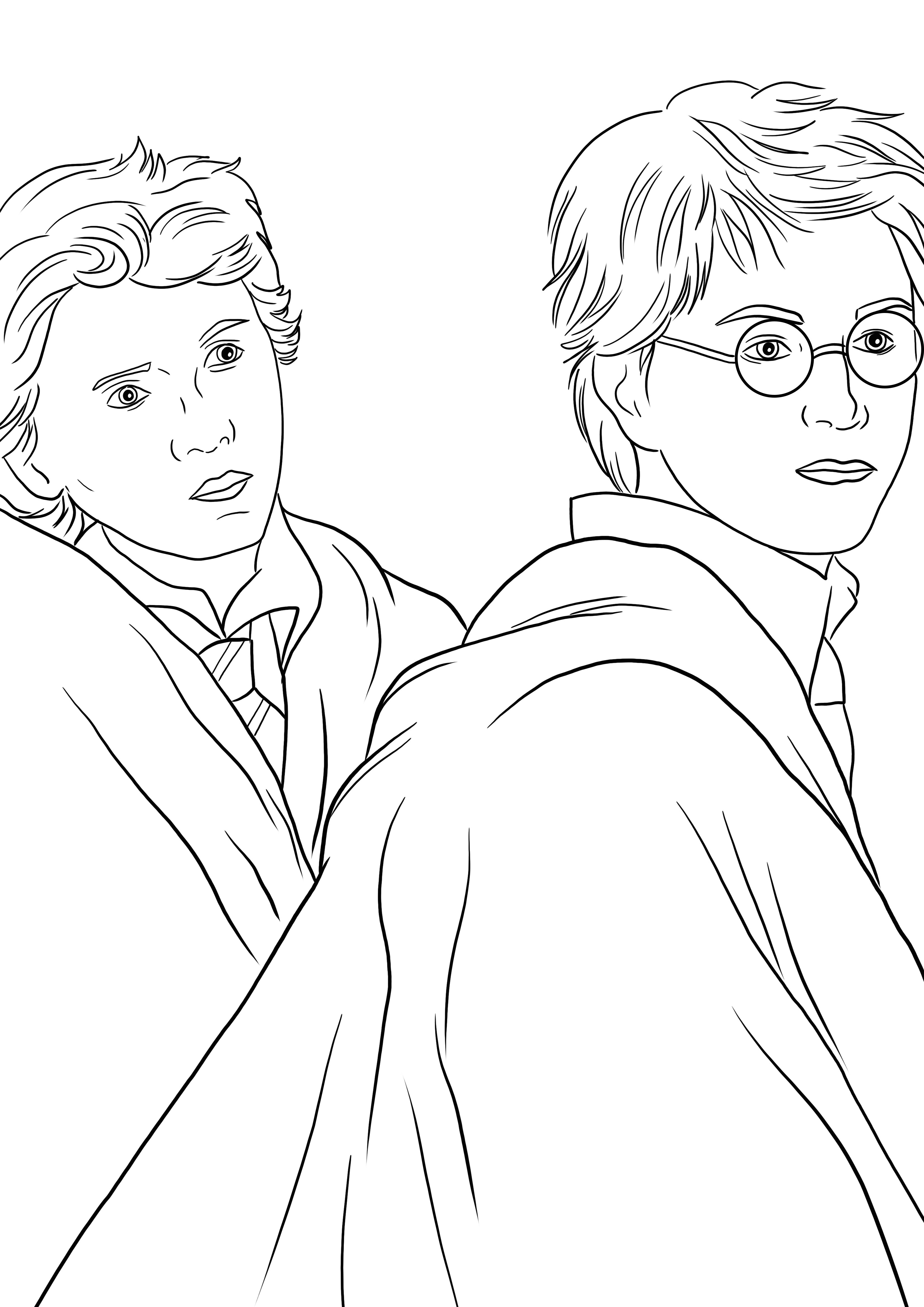 Desenho de Harry e Weasley para colorir para imprimir ou baixar para as crianças colorirem