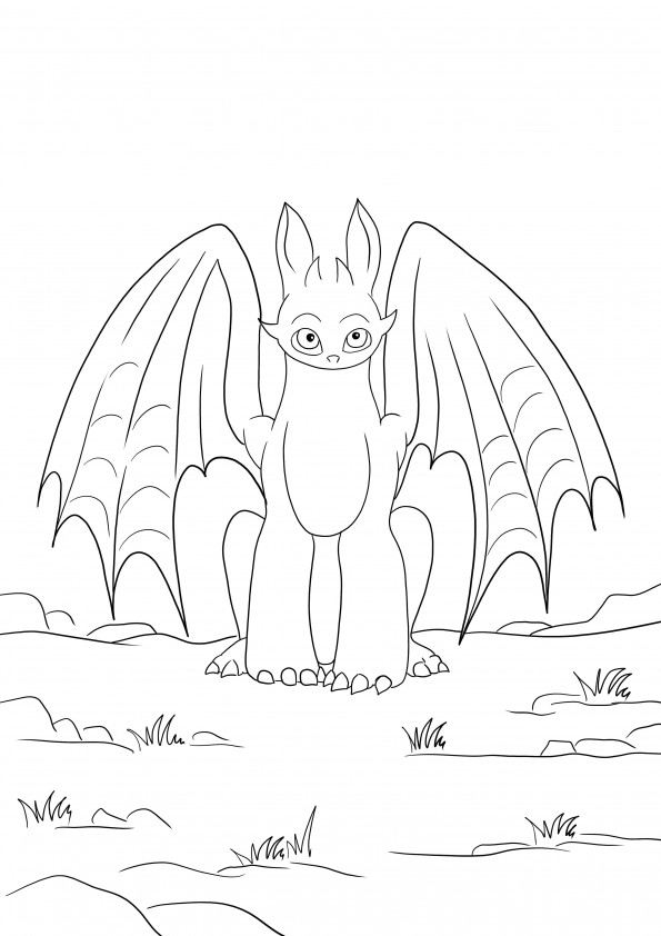 Toothless from How to Train Your Dragon animation story free printing and ready to color