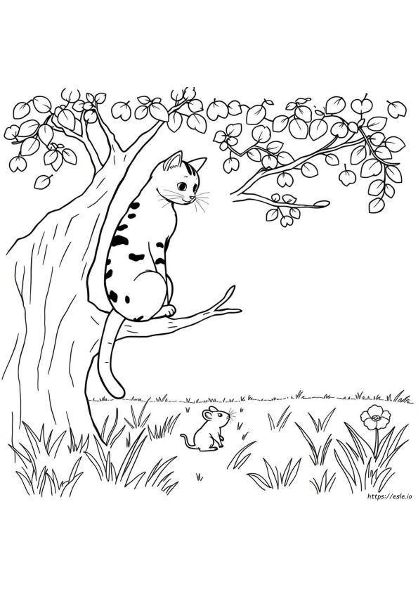 Tabi Coloring Pages