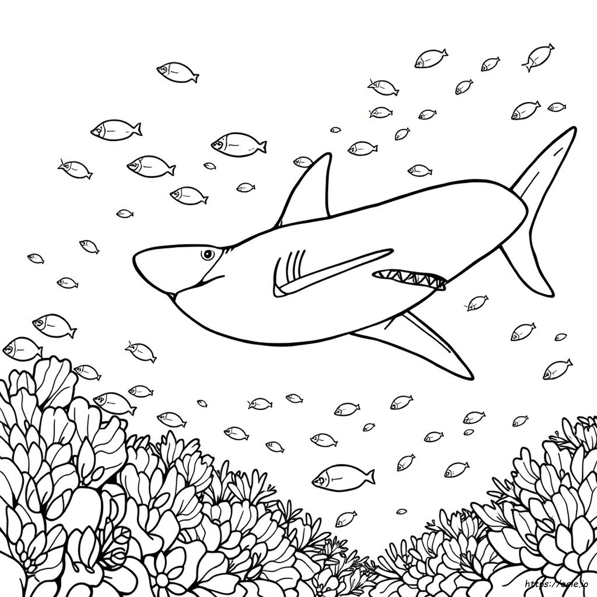 Thresher Shark Coloring Page