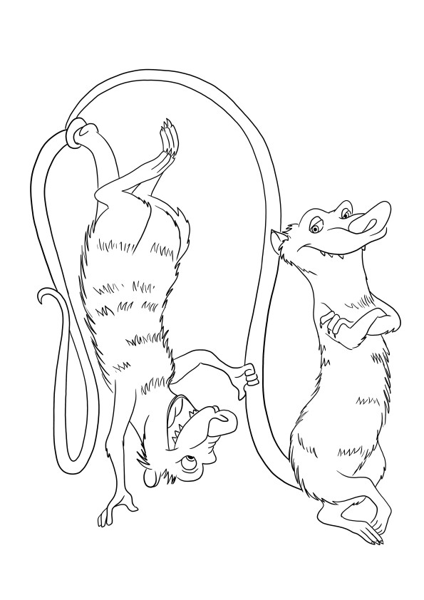 Crash and Eddie the Possums for coloring and free printing or downloading image