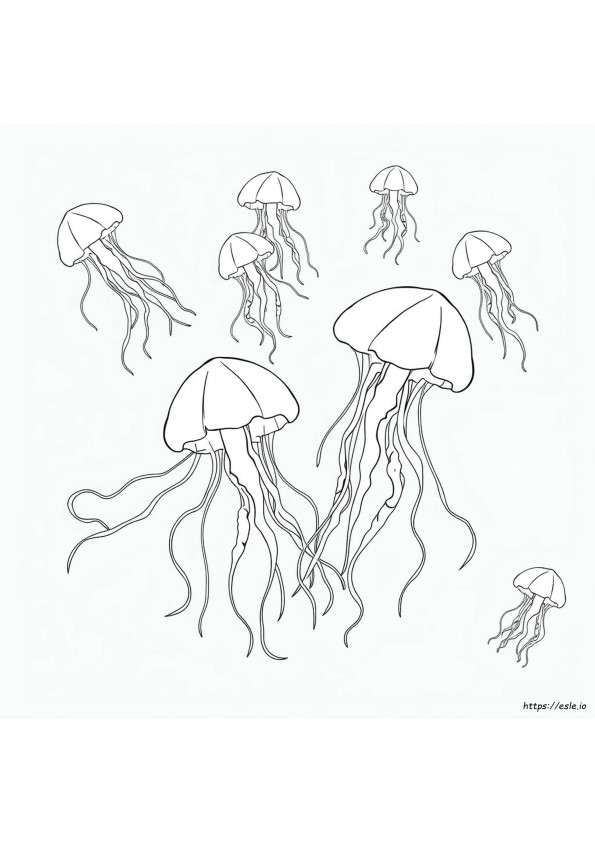 Kolorowanka Meduzy