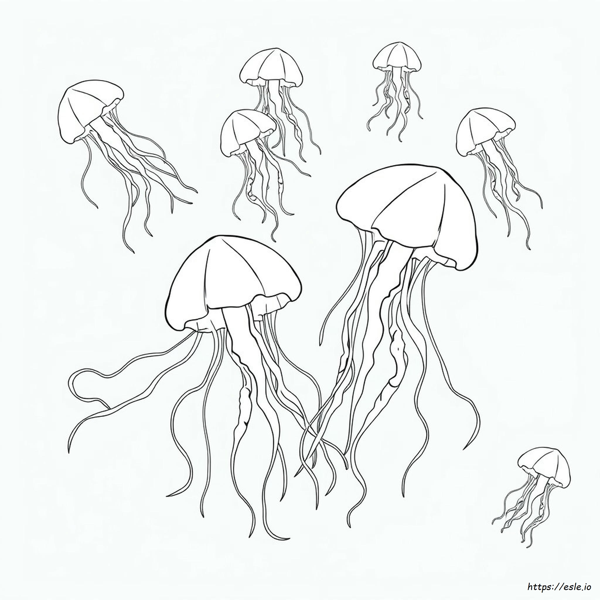Coloring Picture Of Jellyfish