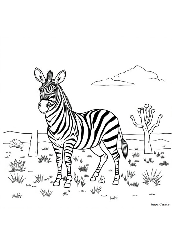 Mewarnai Gambar Zebra