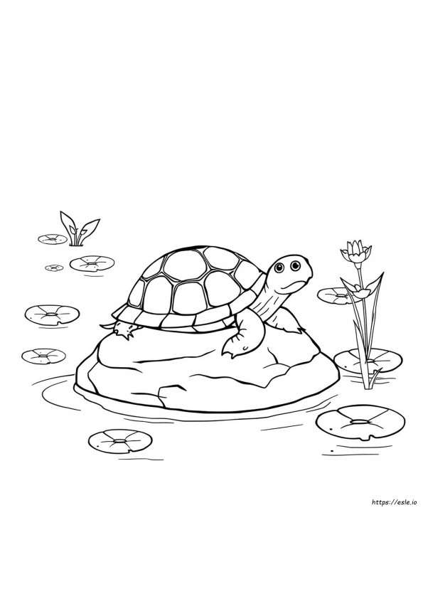Tartarugas Para Colorir Para Imprimir
