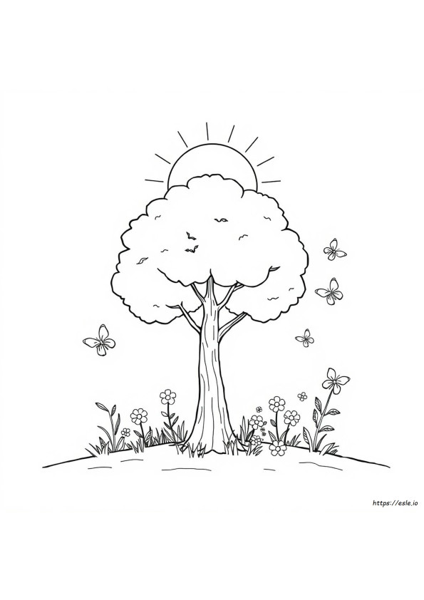 Natureza Para Colorir