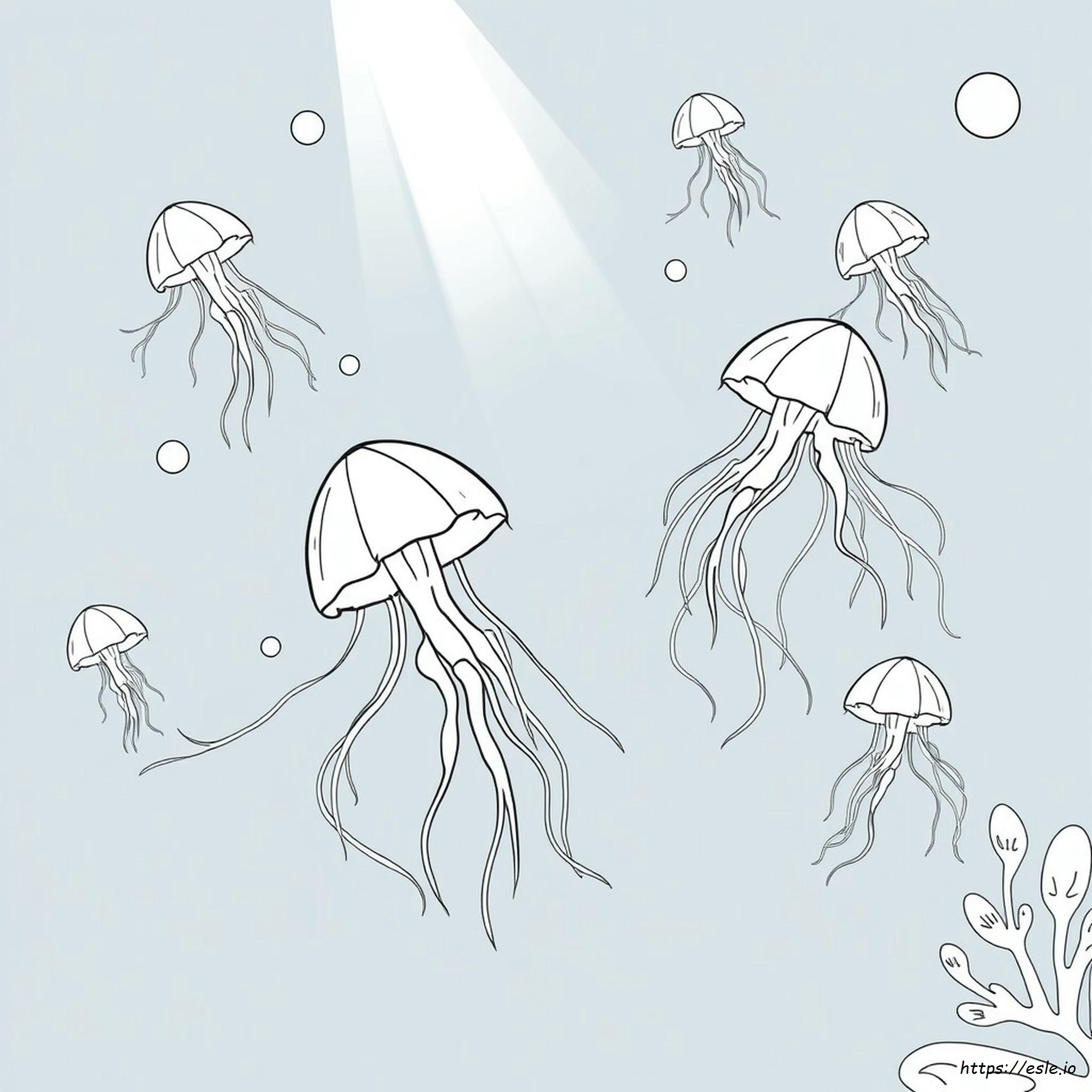 Jellyfish Coloring Page Pdf